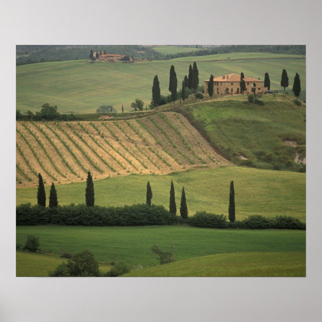 Europe, Italy, Tuscany, Val d' Orcia, Tuscan Poster (Front)