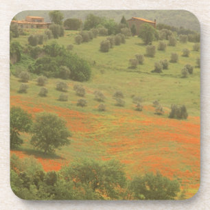 Europe, Italy, Tuscany, Val D'Orcia, Monte Coaster