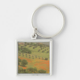 Europe, Italy, Tuscany, Val D'Orcia, Monte Key Ring