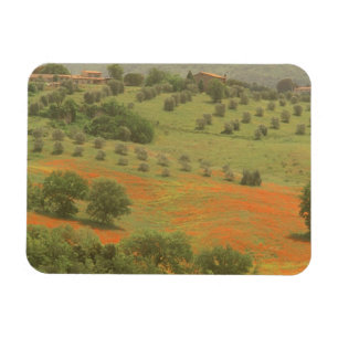 Europe, Italy, Tuscany, Val D'Orcia, Monte Magnet