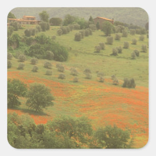 Europe, Italy, Tuscany, Val D'Orcia, Monte Square Sticker