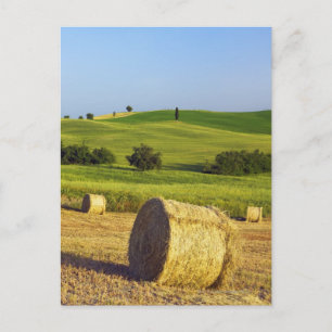 Europe, Italy, Tuscany, Val d'Orcia, Pienza - Postcard