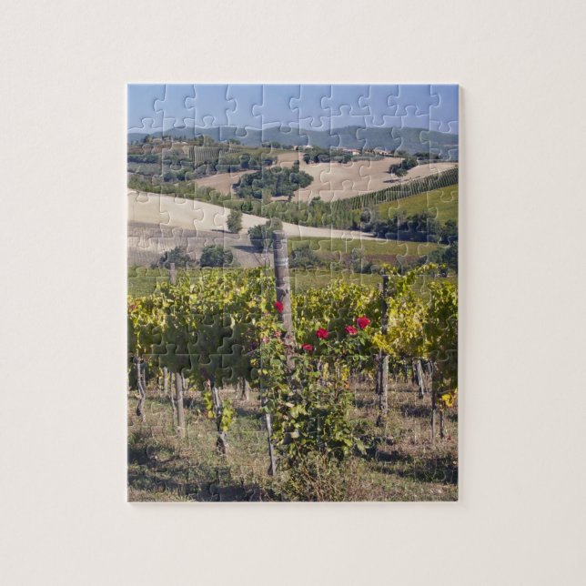 Europe, Italy, Umbria, near Montefalco, Vineyard Jigsaw Puzzle (Vertical)