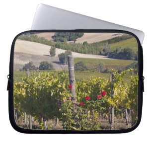 Europe, Italy, Umbria, near Montefalco, Vineyard Laptop Sleeve