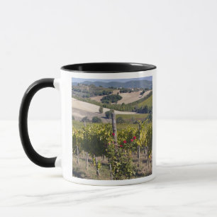 Europe, Italy, Umbria, near Montefalco, Vineyard Mug