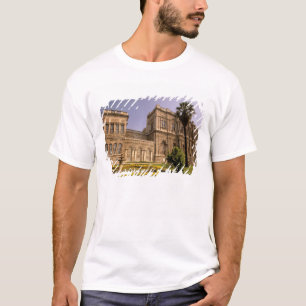 Europe, Middle East, Istanbul. The Bosphorus, T-Shirt
