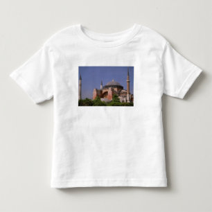 Europe, Middle East, Turkey, Istanbul. Aya Toddler T-Shirt