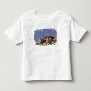Europe, Middle East, Turkey, Istanbul. Aya Toddler T-Shirt