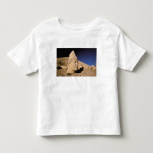 Europe, Middle East, Turkey, Nemrut Dagi Kahta Toddler T-Shirt