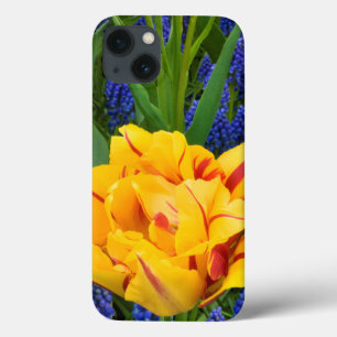 Europe, Netherlands, Lisse. Tulips iPhone 13 Case