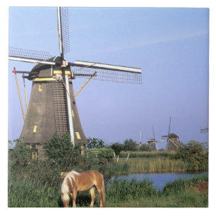 Europe, Netherlands, Zuid Holland, Kinderdijk. 2 Ceramic Tile