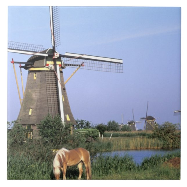 Europe, Netherlands, Zuid Holland, Kinderdijk. 2 Ceramic Tile (Front)