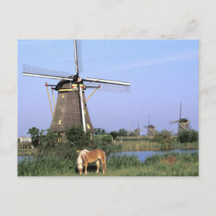 Europe, Netherlands, Zuid Holland, Kinderdijk. 2 Postcard