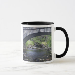 Europe, Norway. Stone Bridge enroute to Bergen Mug