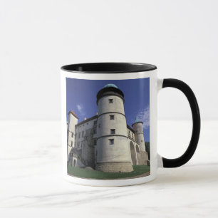EUROPE, Poland, Carpathian Mts., Nowy Wisnicz Mug