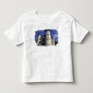 EUROPE, Poland, Carpathian Mts., Nowy Wisnicz Toddler T-Shirt