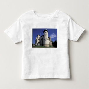 EUROPE, Poland, Carpathian Mts., Nowy Wisnicz Toddler T-Shirt
