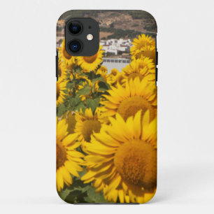 Europe, Spain, Andalusia, Cadiz Province iPhone 11 Case