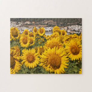 Europe, Spain, Andalusia, Cadiz Province Jigsaw Puzzle