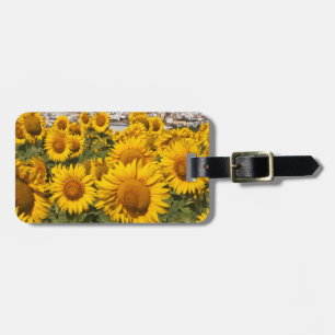 Europe, Spain, Andalusia, Cadiz Province Luggage Tag