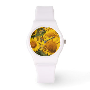Europe, Spain, Andalusia, Cadiz Province Watch