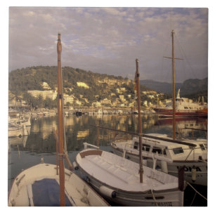 Europe, Spain, Balearics, Mallorca, Port de Ceramic Tile