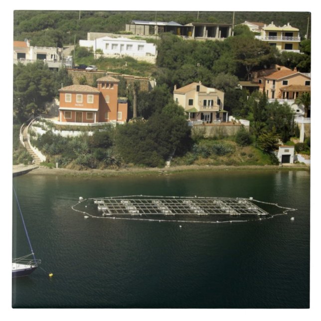 Europe, Spain, Minorca (aka Menorca). Fish Ceramic Tile (Front)