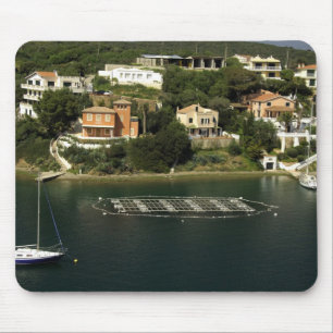 Europe, Spain, Minorca (aka Menorca). Fish Mouse Pad