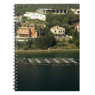 Europe, Spain, Minorca (aka Menorca). Fish Notebook