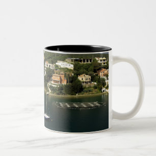 Europe, Spain, Minorca (aka Menorca). Fish Two-Tone Coffee Mug