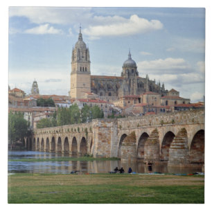 Europe, Spain, Salamanca. The Roman bridge over Ceramic Tile