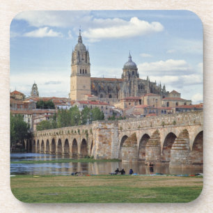Europe, Spain, Salamanca. The Roman bridge over Coaster
