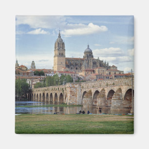 Europe, Spain, Salamanca. The Roman bridge over Magnet