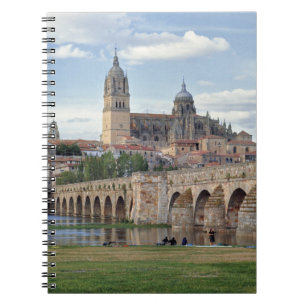 Europe, Spain, Salamanca. The Roman bridge over Notebook