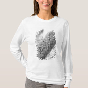 Europe, Switzerland, Bern. Overview of the Aare T-Shirt