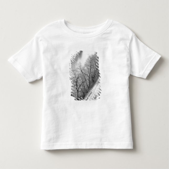 Europe, Switzerland, Bern. Overview of the Aare Toddler T-Shirt (Front)