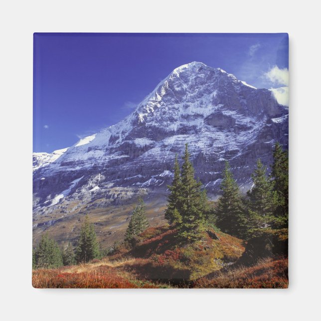Europe, Switzerland, Eiger. Fall colours abound Magnet (Front)