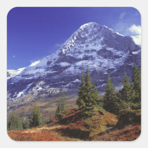 Europe, Switzerland, Eiger. Fall colours abound Square Sticker