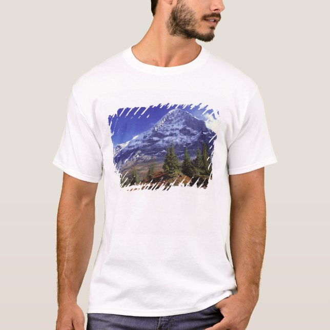 Europe, Switzerland, Eiger. Fall colours abound T-Shirt (Front)