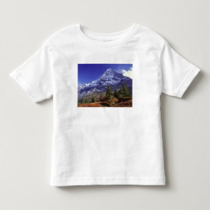 Europe, Switzerland, Eiger. Fall colours abound Toddler T-Shirt