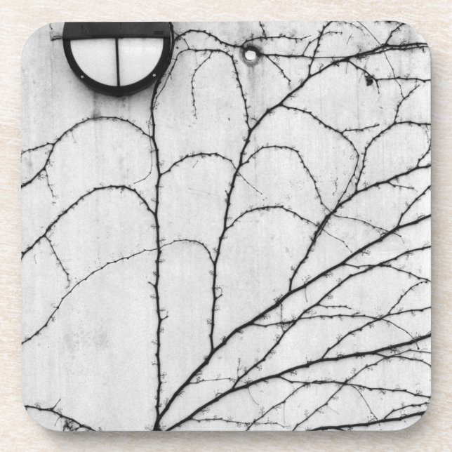 Europe, Switzerland, Lucerne. Ivy pattern on Coaster (Front)