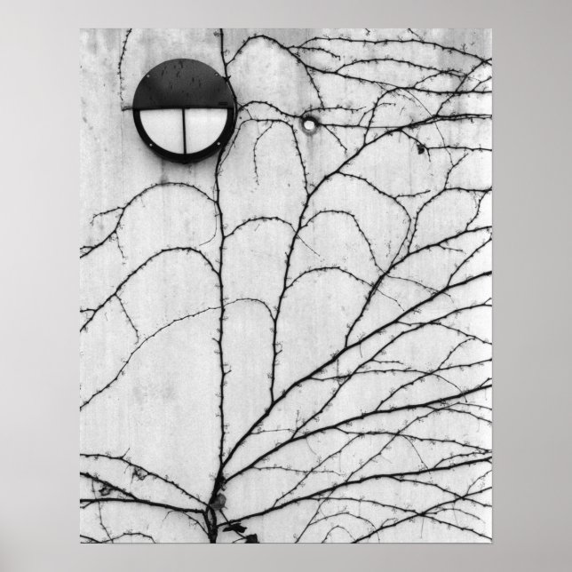 Europe, Switzerland, Lucerne. Ivy pattern on Poster (Front)