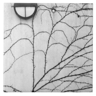 Europe, Switzerland, Lucerne. Ivy pattern on Tile