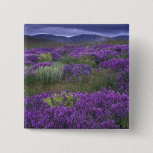 Europe, Turkey, Cappadocia. Rural landscape 2 15 Cm Square Badge