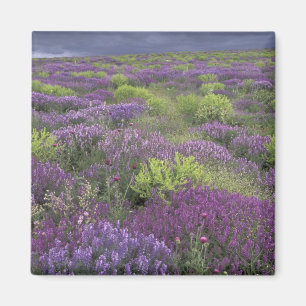 Europe, Turkey, Cappadocia. Rural landscape 3 Magnet