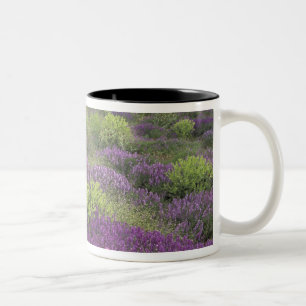 Europe, Turkey, Cappadocia. Rural landscape 3 Two-Tone Coffee Mug