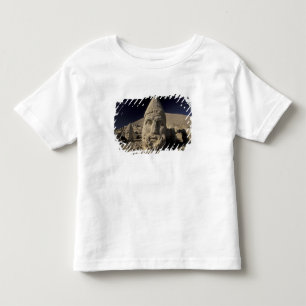Europe, Turkey, Kurdi. Nemrut Dagh. Toddler T-Shirt
