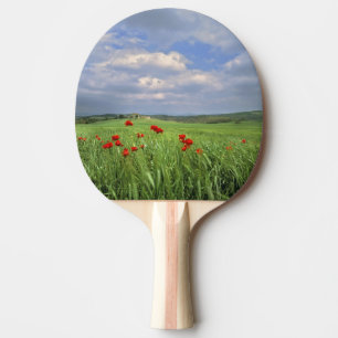 Europe, Tuscany, Poggiolo. Red poppies sway Ping Pong Paddle