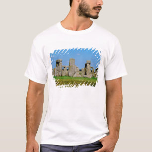 Europe, United Kingdom, England, Wiltshire, T-Shirt