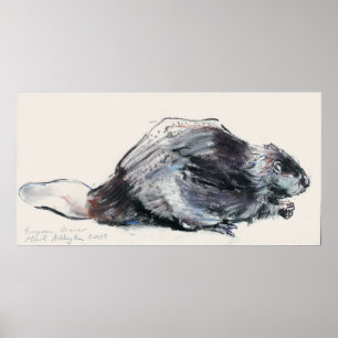 European Beaver Poster
